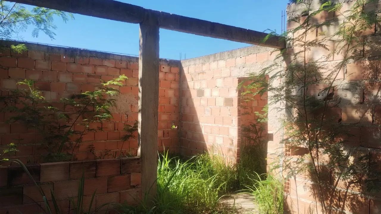 Foto - Contagem - Tropical