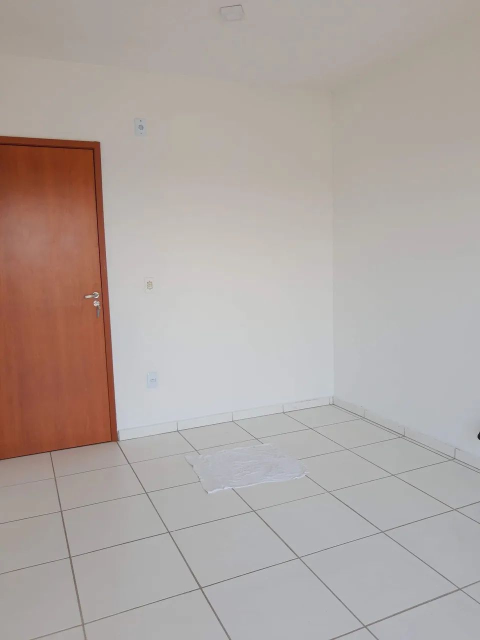 Leve Castanheiras  - Foto 3