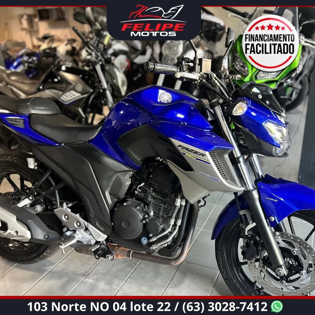 FZ 25 - Fazer 250