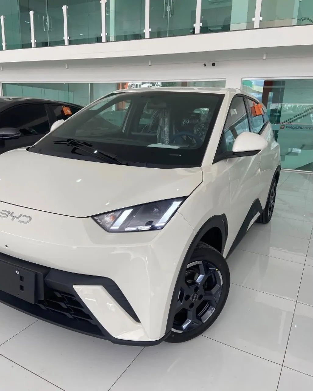 BYD Dolphin Mini (Elétrico) 2026 - Foto 2