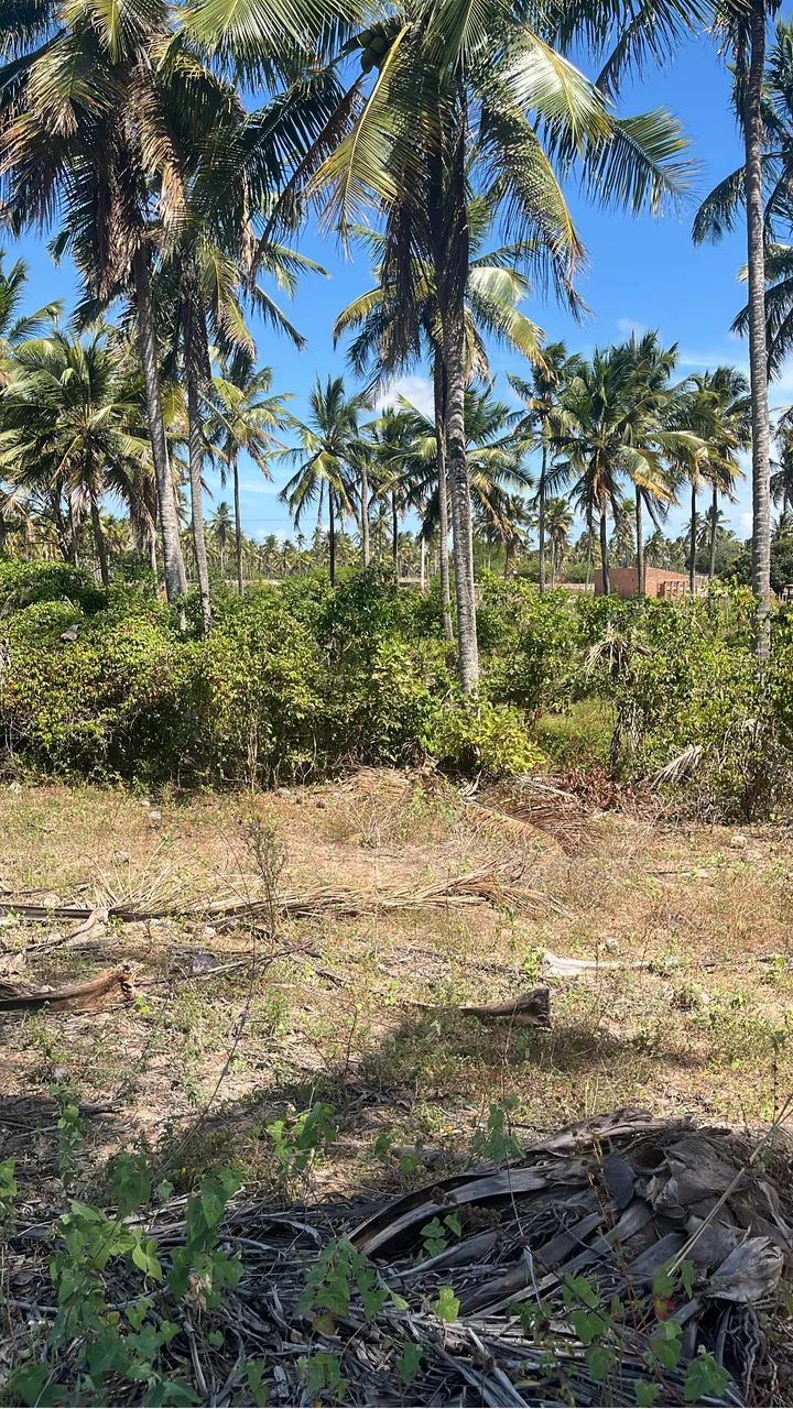 Sítio em Piaçabuçu  - Foto 2