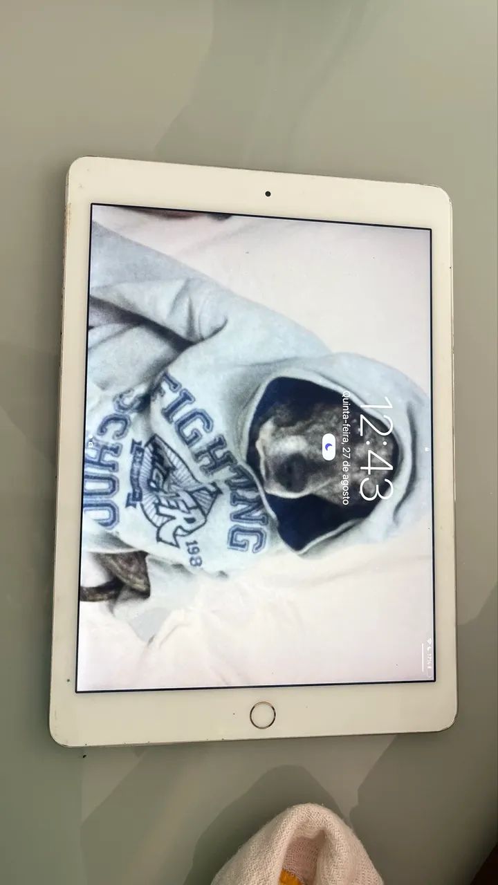 iPad Air 2 A1566 16GB Wi-fi ? Gold - Foto 2