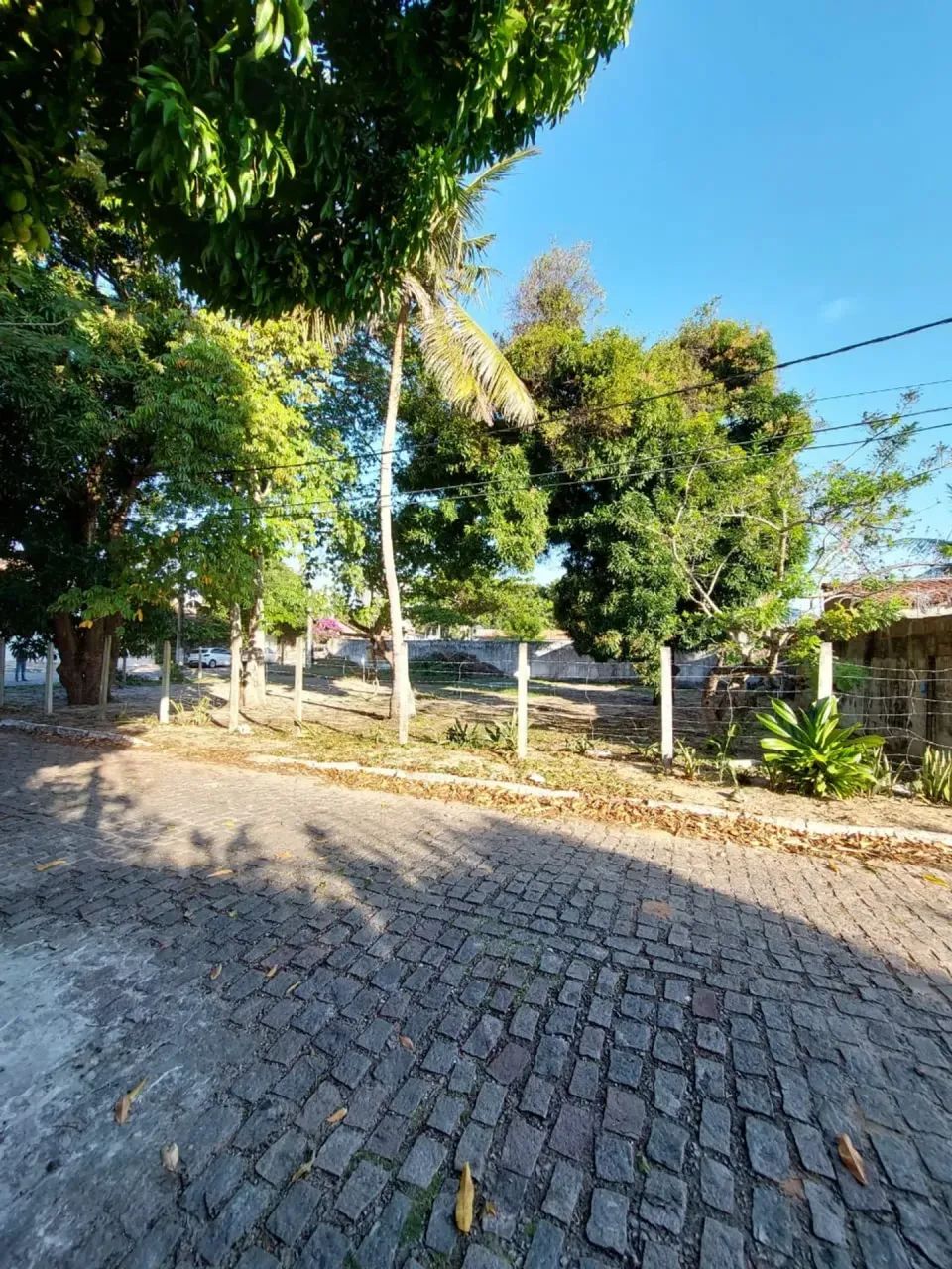Oportunidade!! Terreno 672m² em Ponta Negra - Foto 4