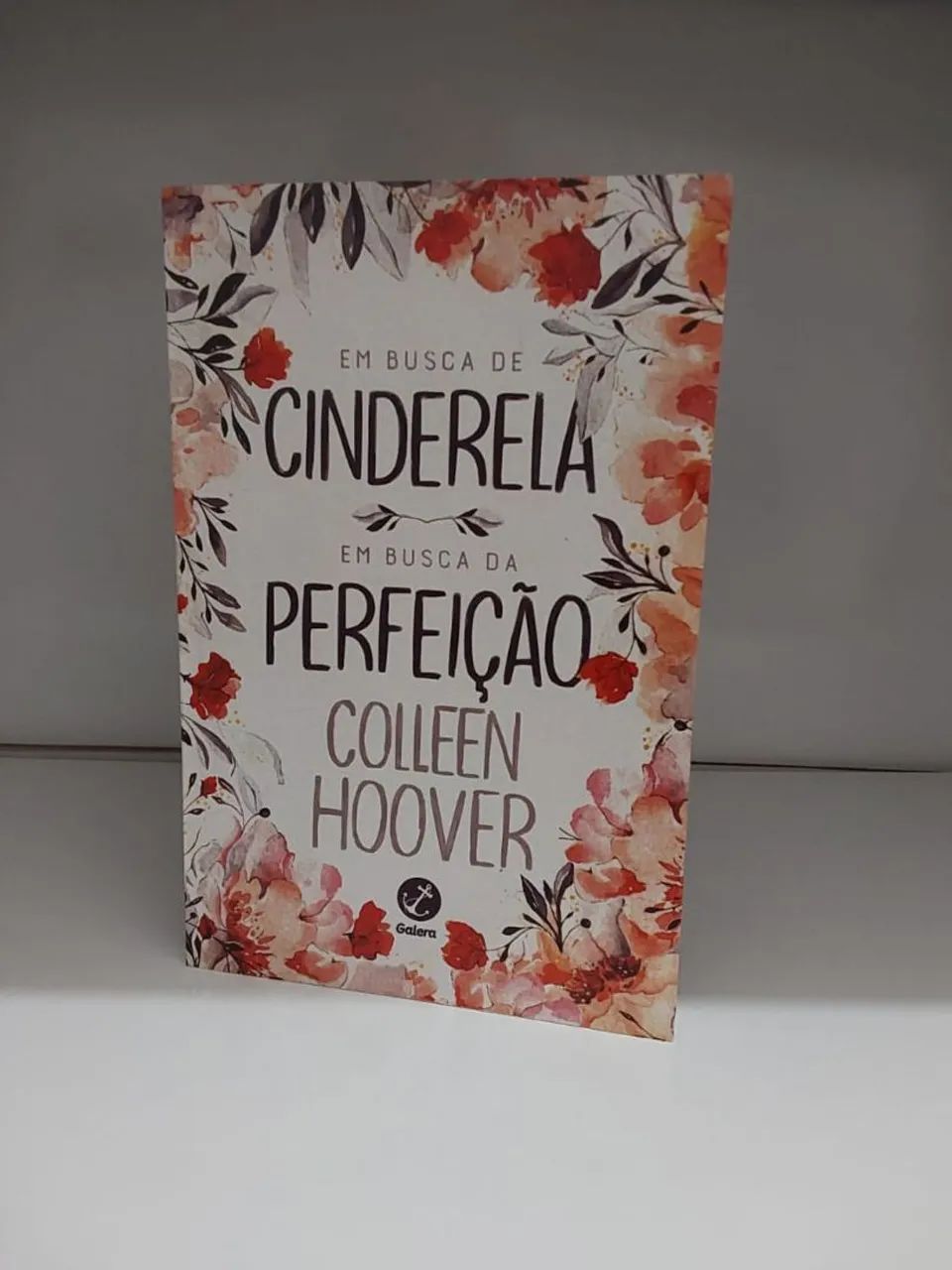 Em busca da Perfeição - Coleen Hoover - Foto 5