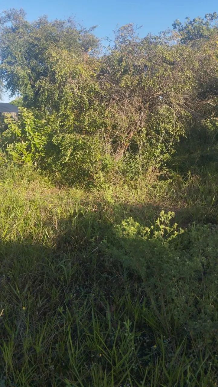 Repasso Terreno em Extremoz - Excelente Oportunidade! - Foto 2