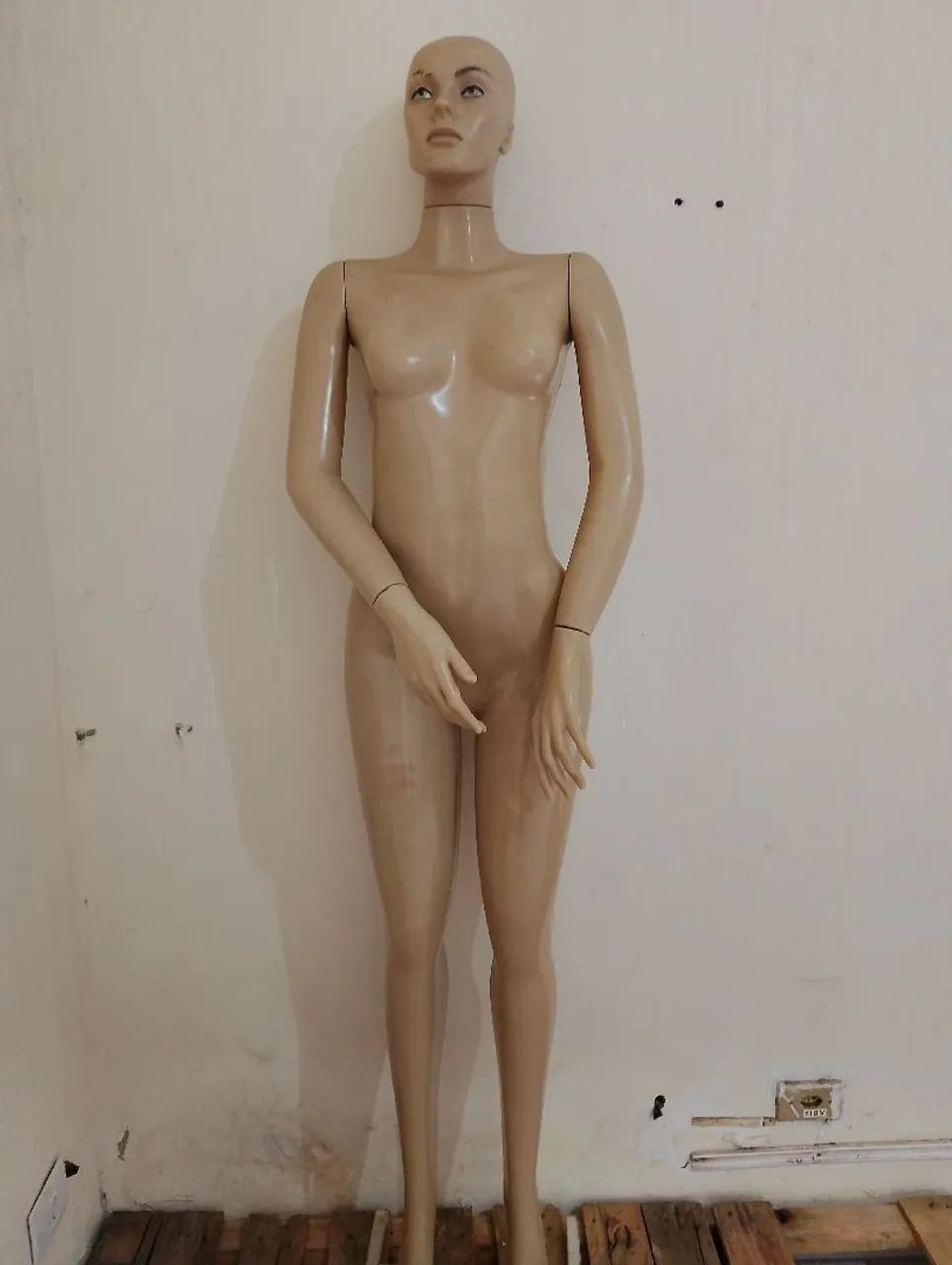 Manequim 100.00  - Foto 2