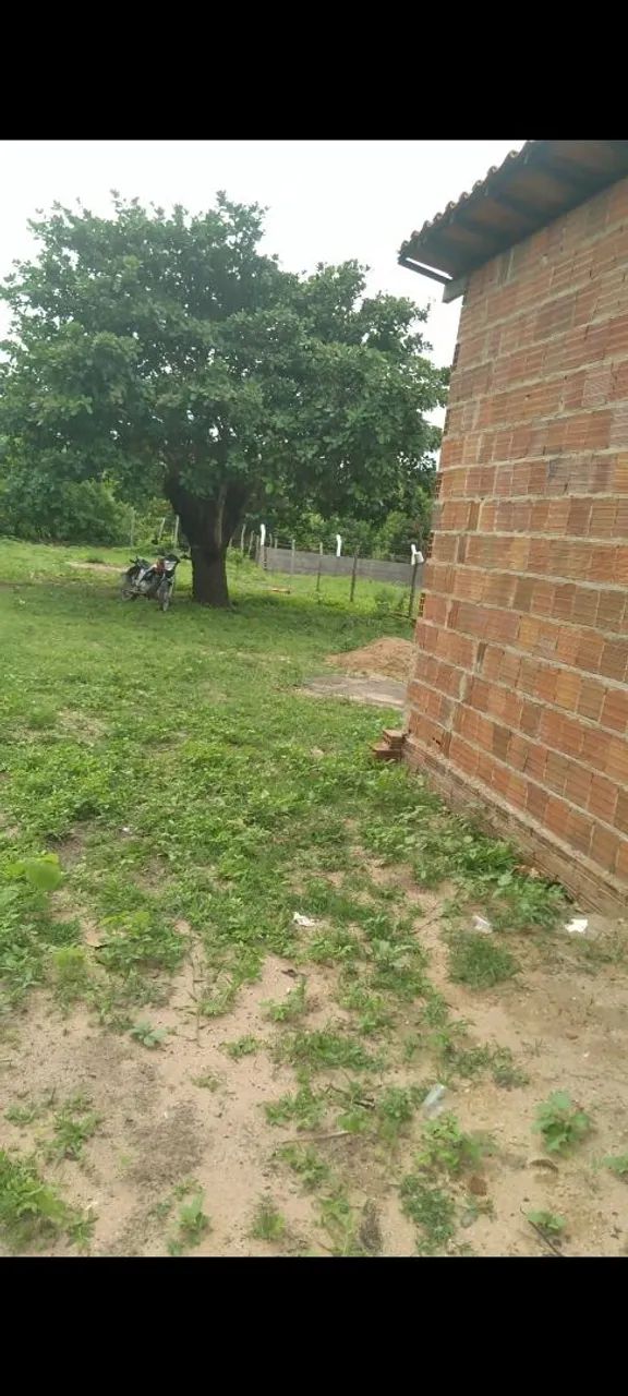 Terreno em Paraipaba Ceará  - Foto 5