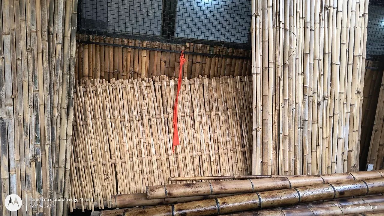 Painel de bambu  - Foto 2