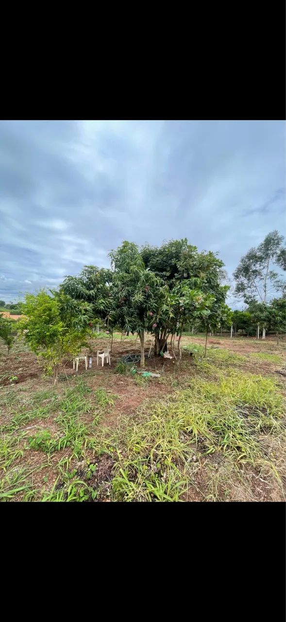 CHÁCARA BONFINÓPOLIS  - Foto 3