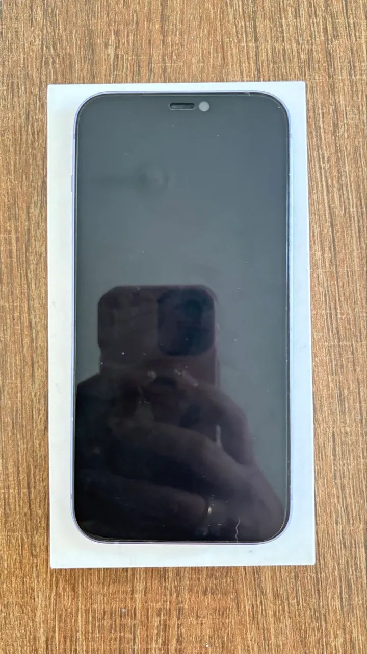 iPhone 12 perfeito 