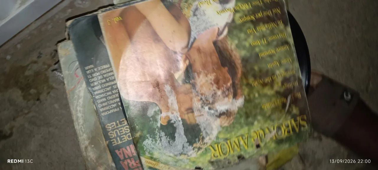 Vendo coleção de disco de vinil preço a combinar - Foto 4