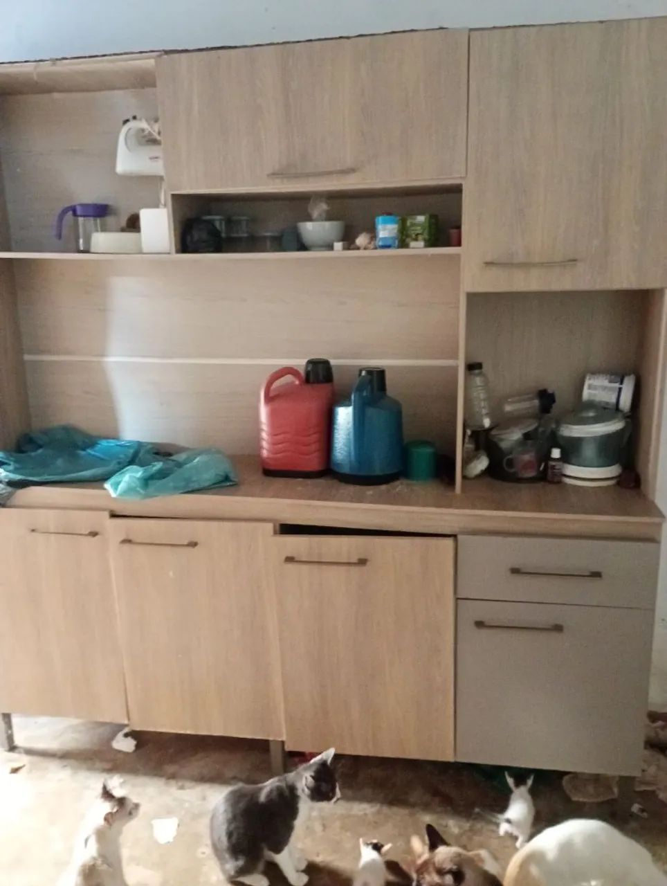 Armário de cozinha 
