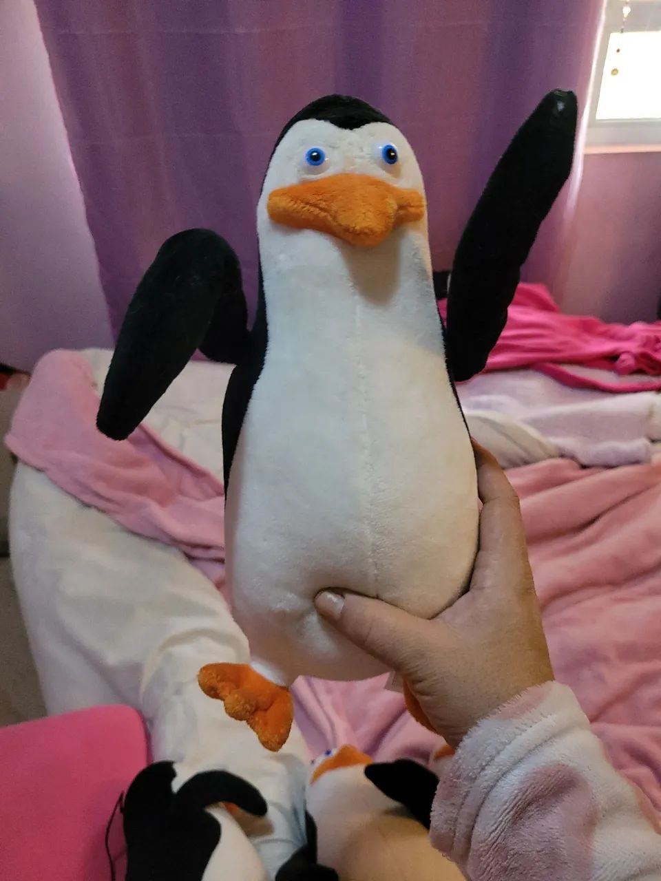 Pinguins Magadascar - Foto 2