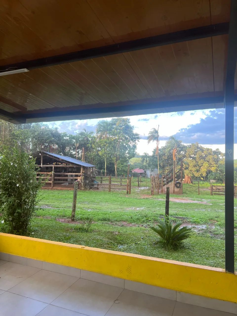 Alugo ou vendo sítio - 20km de Udi - Foto 3