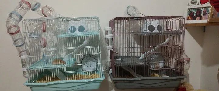 Gaiola safari 3 andares com túnel para hamster 