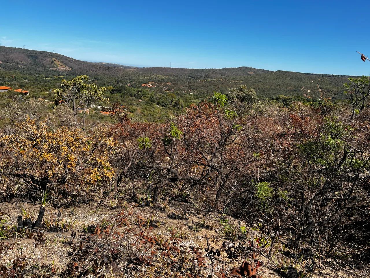 Chácara 1000 m2 - SÃO JOSÉ DA SERRA - Foto 5