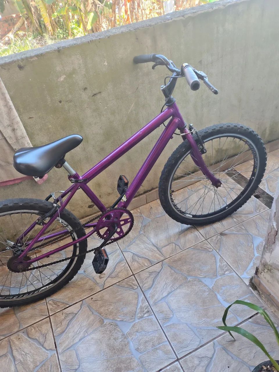 Bicicleta com freios, DESCRIÇÃO.