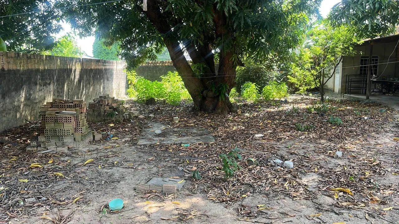 Limpeza de quintal - Foto 2