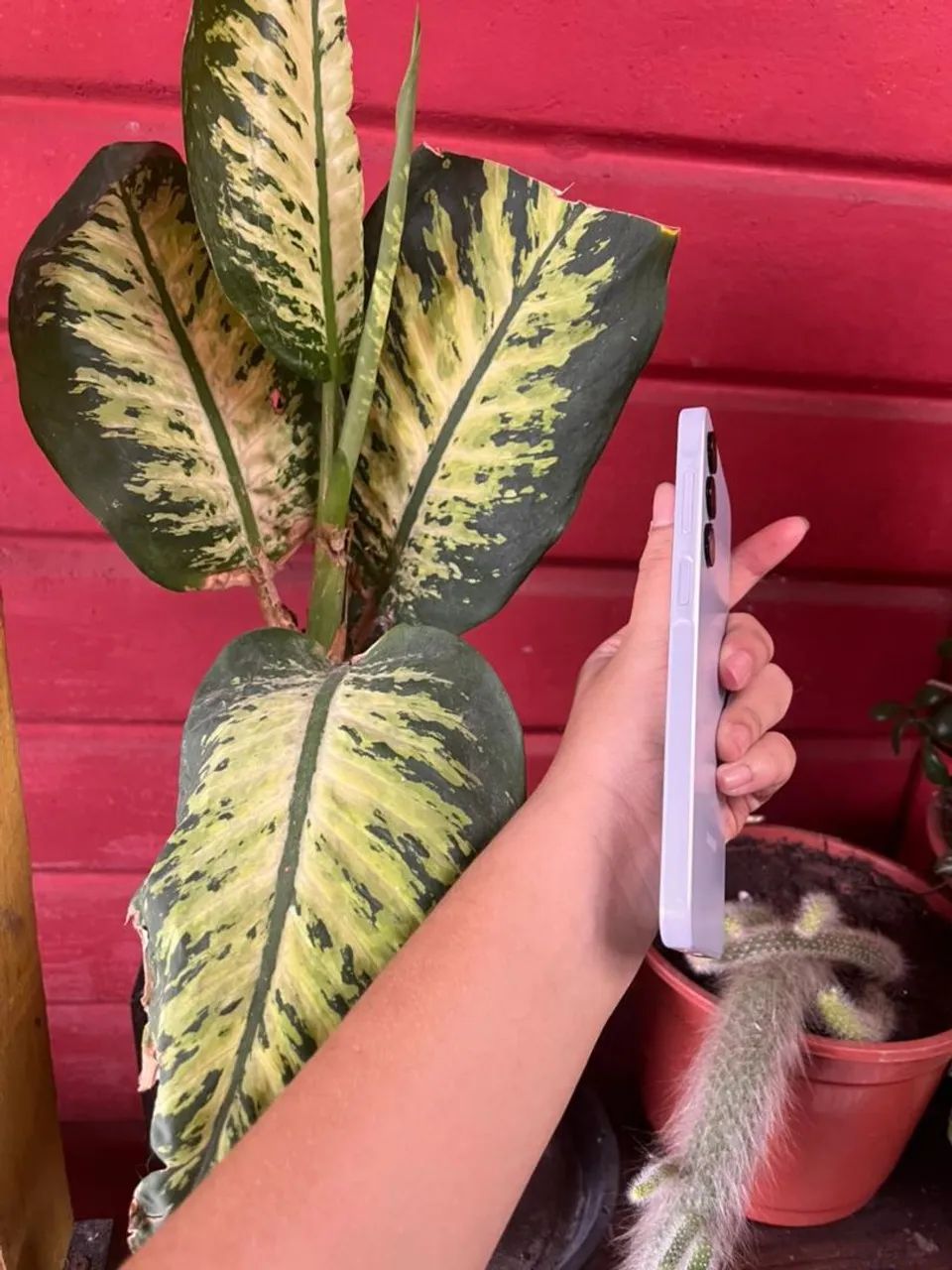 Sansung A16 Novo - Foto 4