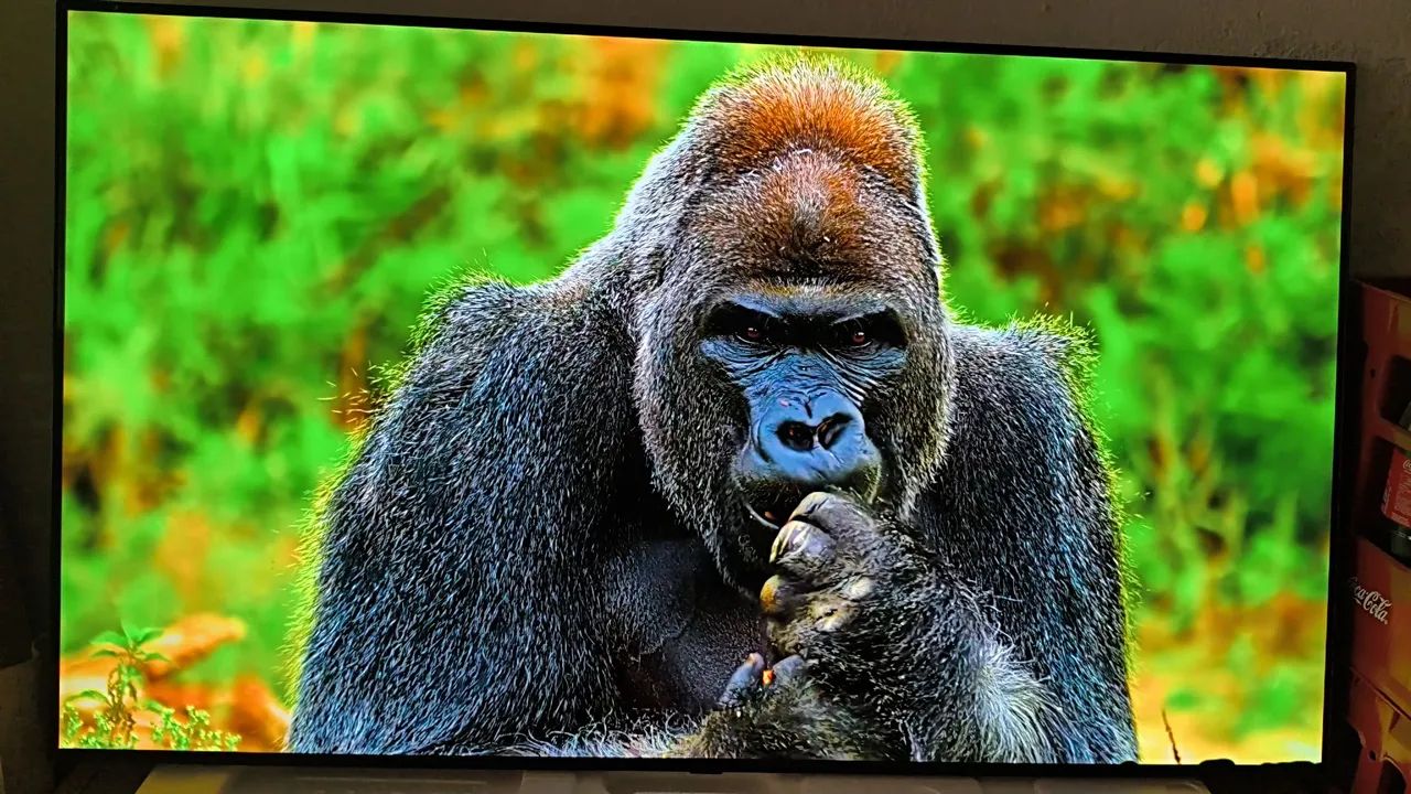 Tv Smart LG 55 Polegadas 4k Ultra HD OLED Completa  - Foto 2
