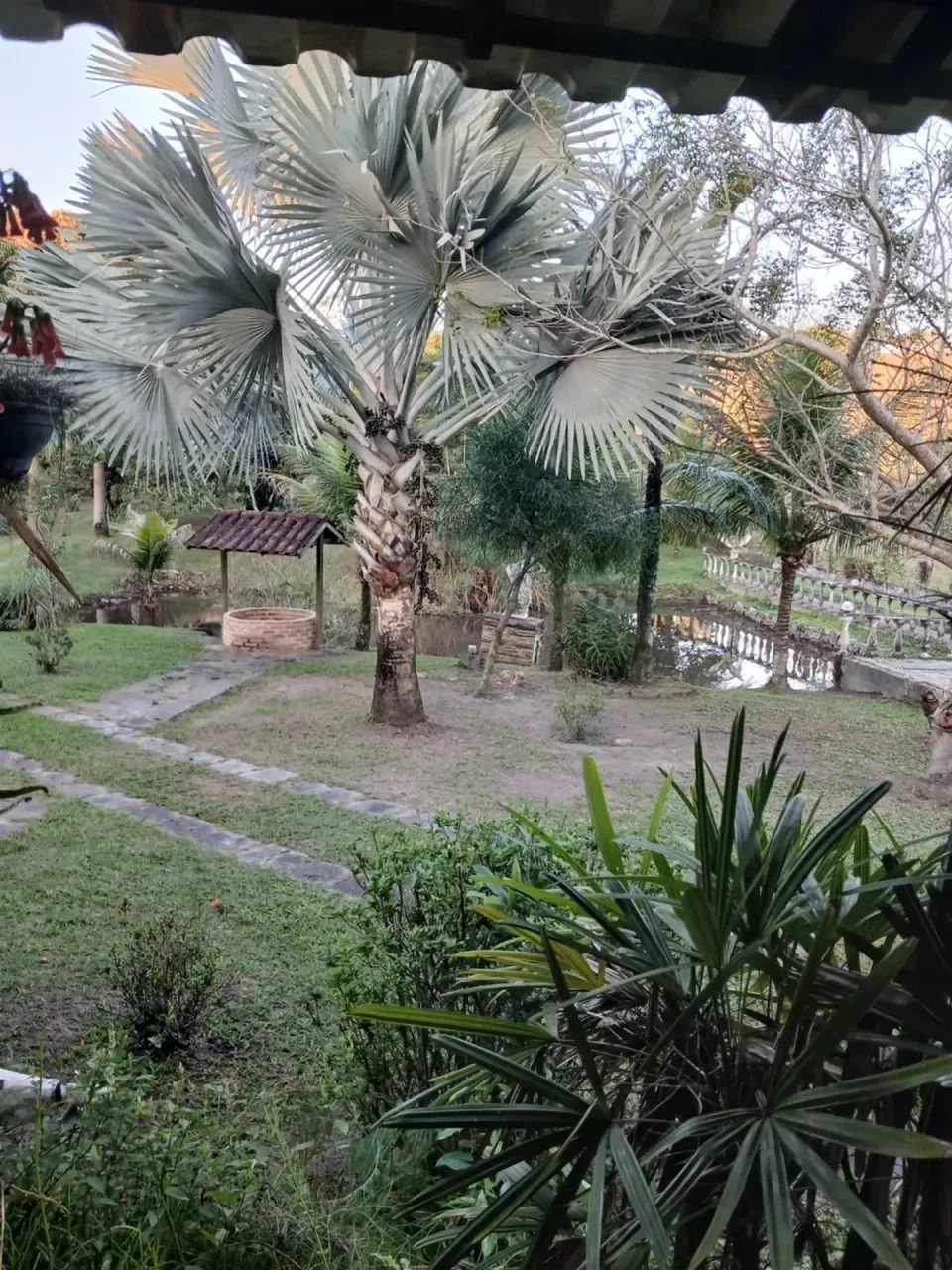 Papucaia- Região Nobre- Sitio Montado- Ideal Lazer/ Moradia!! - Foto 4