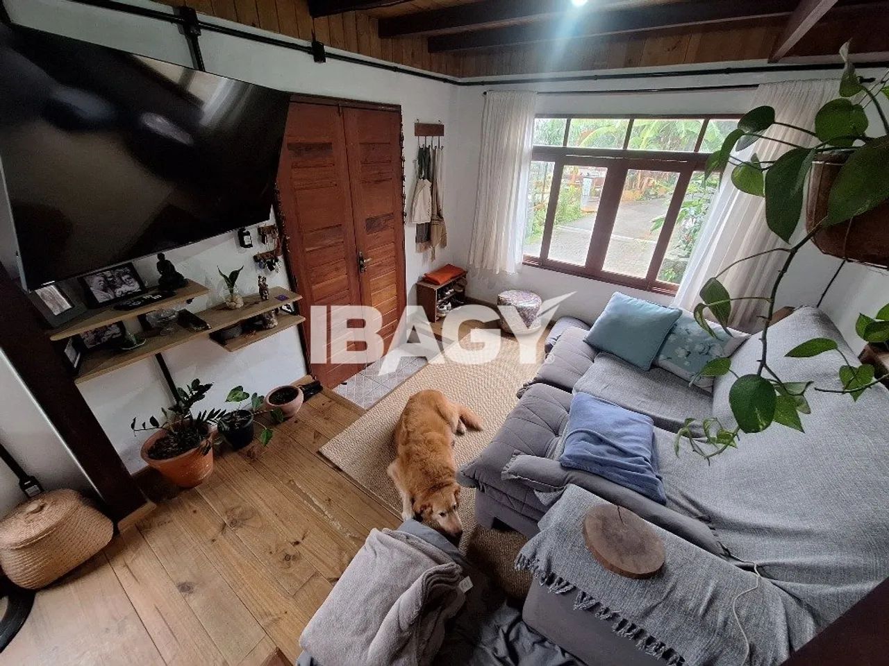 Excelente Casa 3 dormitório(s) em Pântano do Sul - Florianópolis - Foto 3