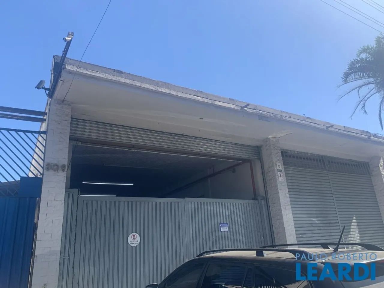 GALPÃO - LIMÃO - SP - Foto 4