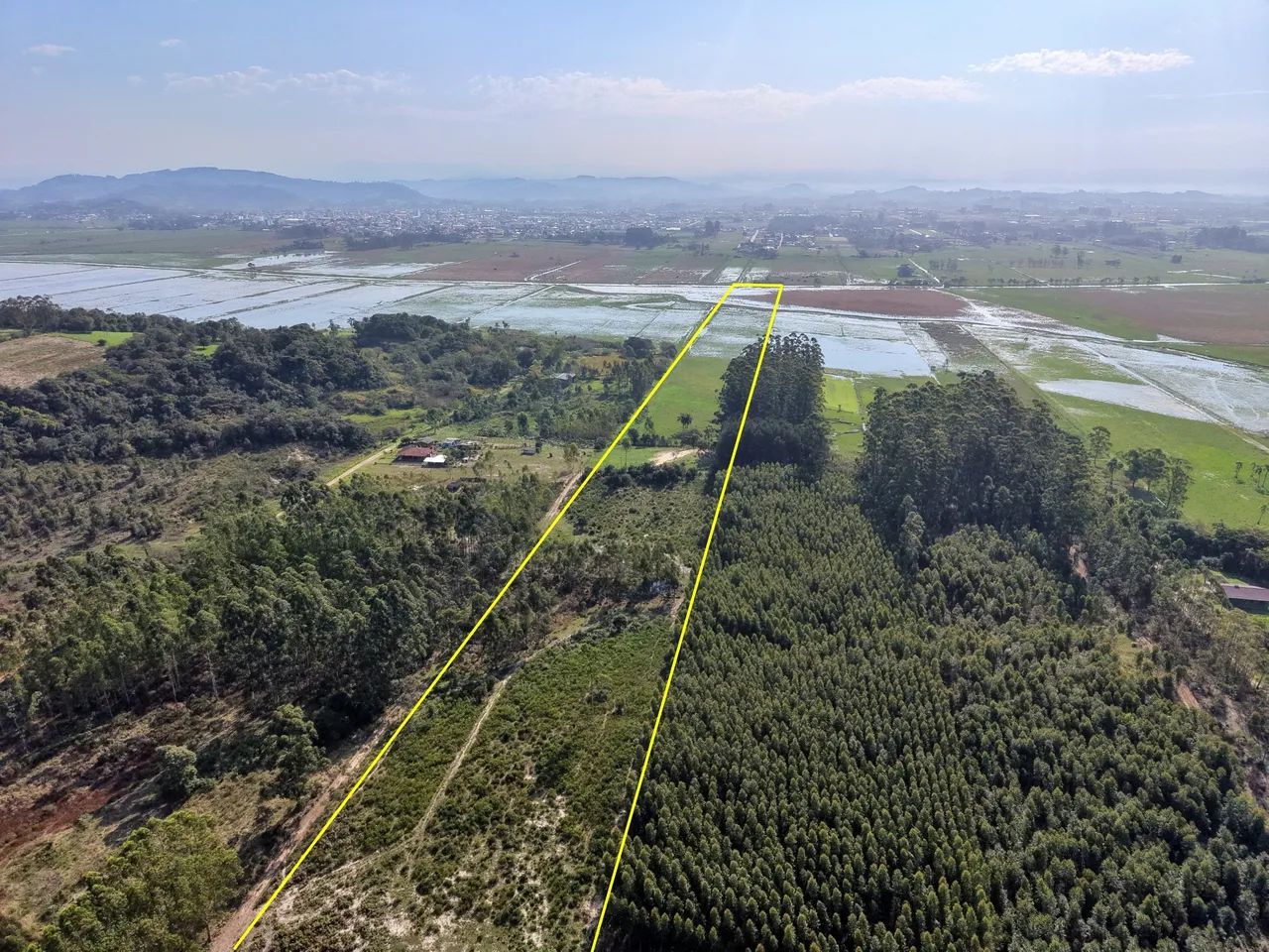 Área de Terra com Excelente Potencial  Acesso Asfaltado - Foto 3