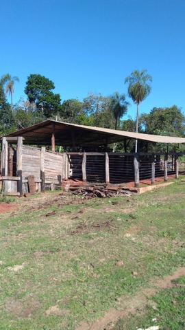 Chácara em Terenos Otímo preço e estrutura (Parcelo) Favor ler o anuncio - Foto 3