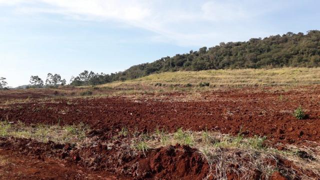 Chácara Venda Ibiporã Próximo Recanto do Engenho - Foto 7