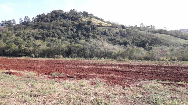 Chácara Venda Ibiporã Próximo Recanto do Engenho