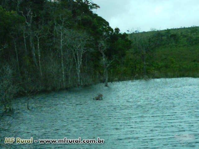 Linda Fazenda em Mato Grosso - em Conquista D´oeste - MT - Foto 4