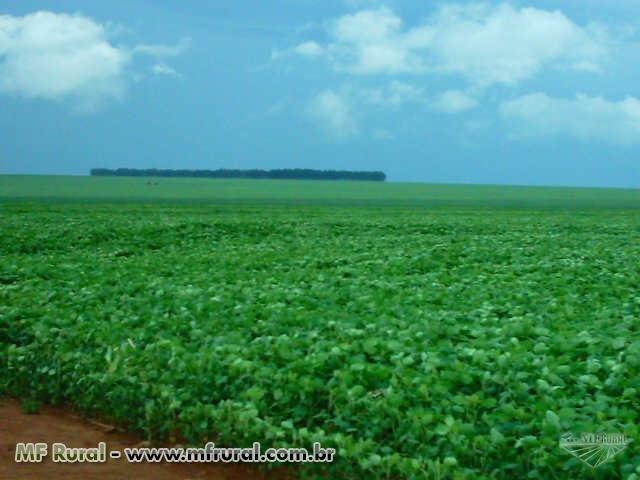 Linda Fazenda em Mato Grosso - em Conquista D´oeste - MT - Foto 5