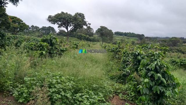 Fazenda à venda - 80 hectares - lavras (mg) - Foto 10