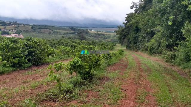 Fazenda à venda - 80 hectares - lavras (mg) - Foto 8