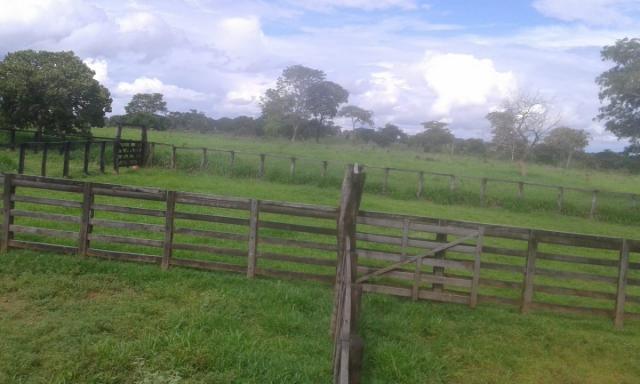 8271 | fazenda à venda em pontal do araguaia - Foto 9