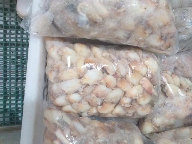 Pescados e mariscos - Foto 4