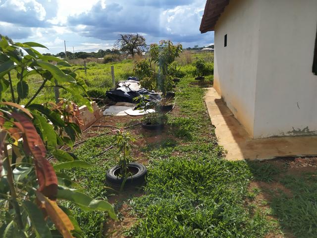 Chácarra Bonfinópolis - Foto 5