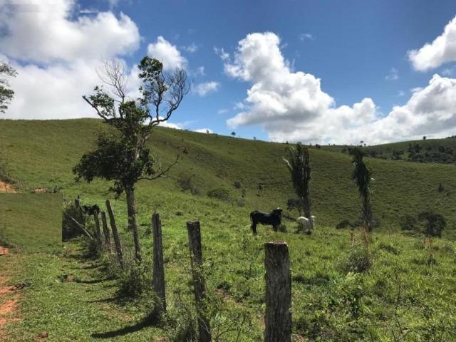 Vende-se Fazenda 425,98 ha no Extremo Sul da Bahia - Itanhém - Foto 2