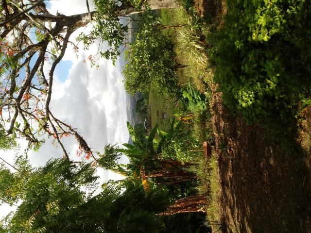 Fazenda monte sinai