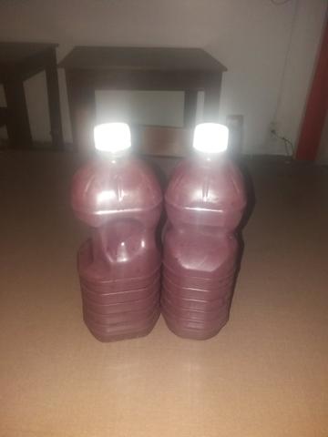 Açaí de anori