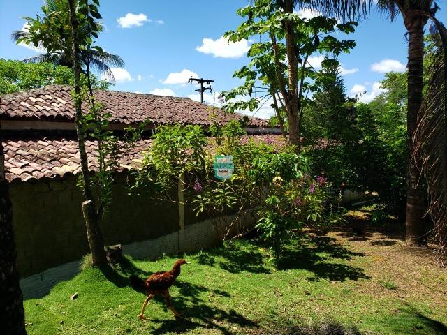 Ibirapitanga. Fazenda pequena com área de 12 ha - Foto 7