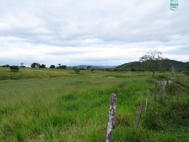 Gongogi - Fazenda pecuária de 655 Hectares toda formada - Foto 9