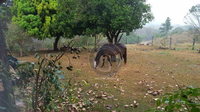 Fazenda com 313 ha região da serra de são vicente - Foto 4