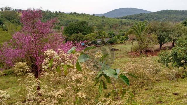 Fazenda com 313 ha região da serra de são vicente - Foto 8