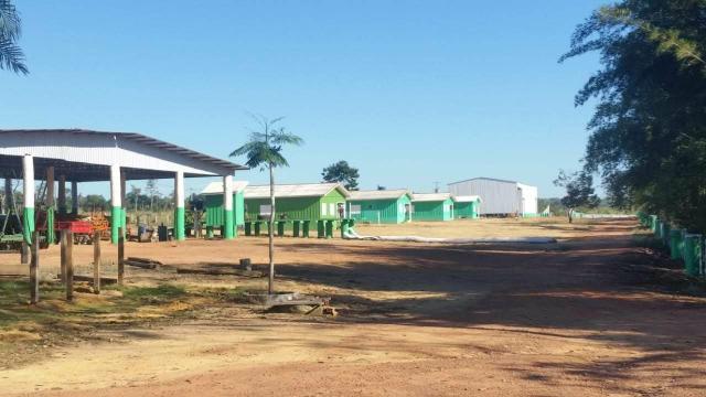 Vendo Fazenda Rondônia - Foto 16