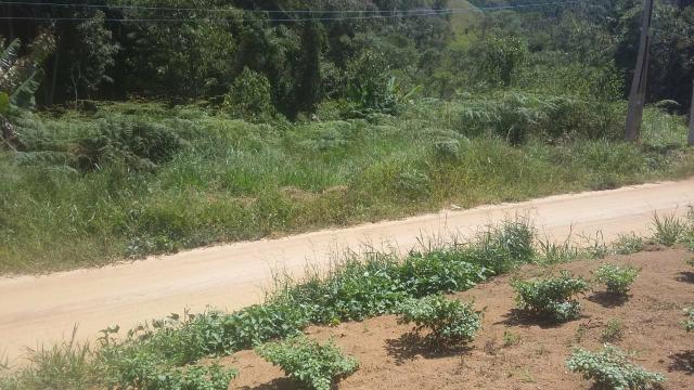 Chácaras Tijuco preto 10 mil metros - Foto 2