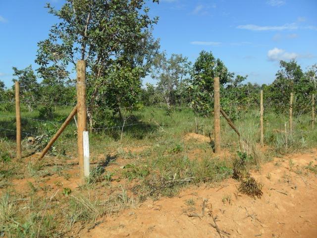 Terreno em três maria com nascente no fundo do terreno - Foto 3
