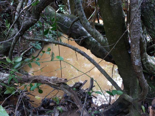 Terreno em três maria com nascente no fundo do terreno - Foto 5