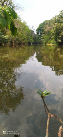 LOTES COM ACESSO AO RIO - Foto 6